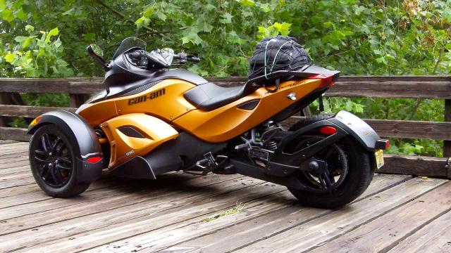 Spyder on a wooden bridge - lovely!