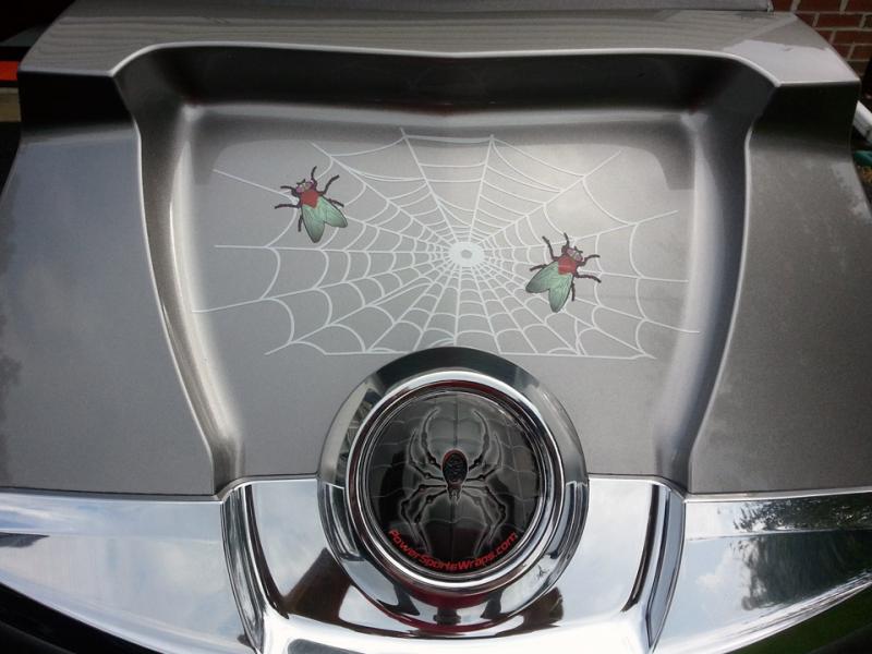 Spyder web fly 9