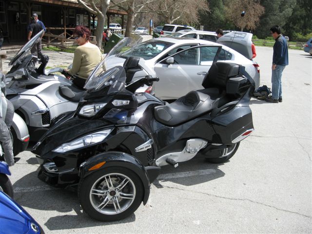 Spyders at Pinnacles 022 (2)