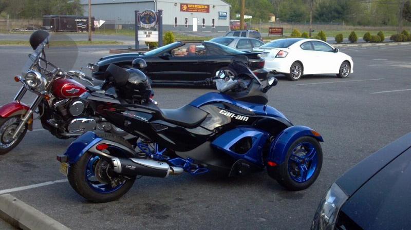 Spyders home