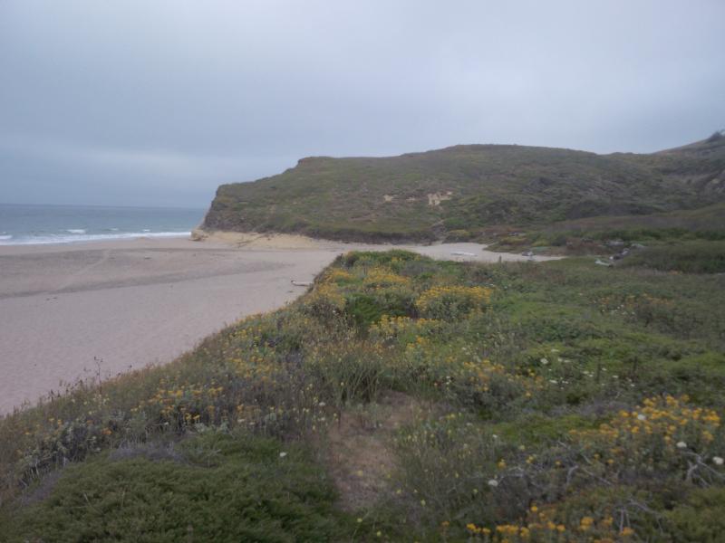 The foggy ciast