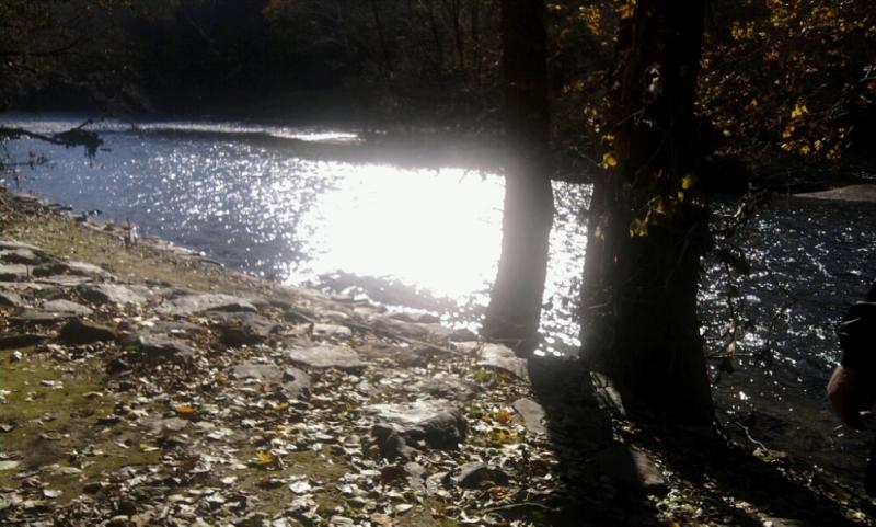 untitled6. (2)