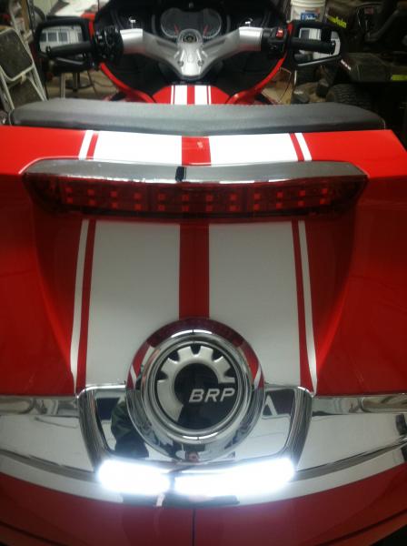Upper Trunk pic