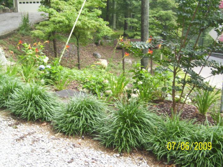 Vegetation.