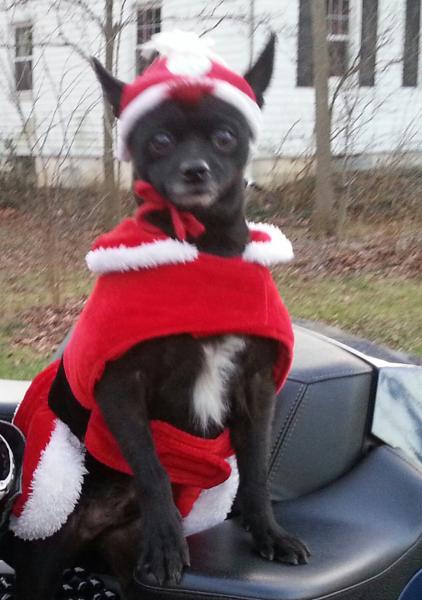 XmasNoTongue