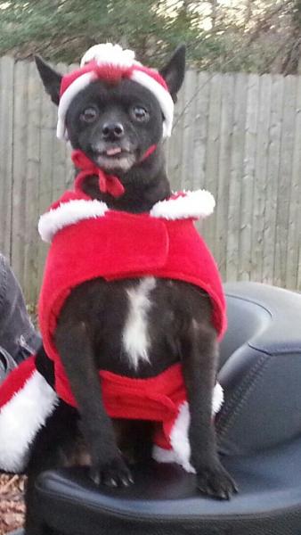 XmasTongue